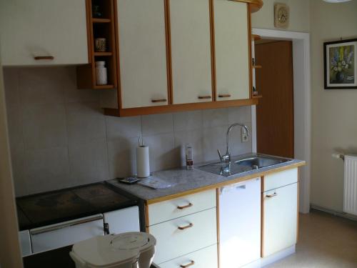 Η κουζίνα ή μικρή κουζίνα στο Ferienhaus Dreiländereck