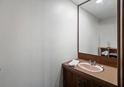 a bathroom with a sink and a large mirror at Unique Estate 5 Bedrooms Fire Pit Sleeps 10 in Akron