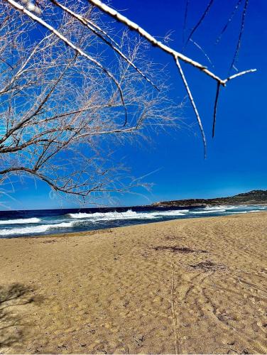 Lovely place with free parking