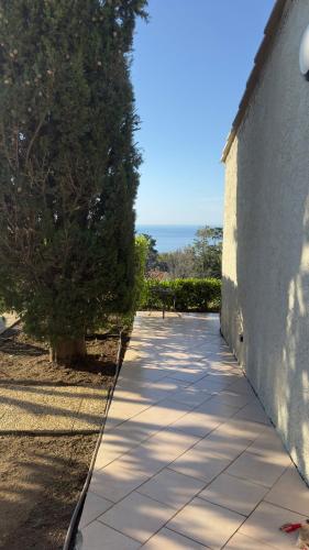 un trottoir à côté d'un mur avec un arbre dans l'établissement Lovely place with free parking, à Corbara