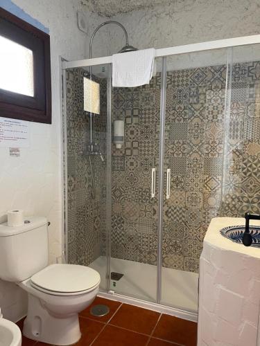 a bathroom with a shower and a toilet at Hotel Rural los Caracoles in Frigiliana
