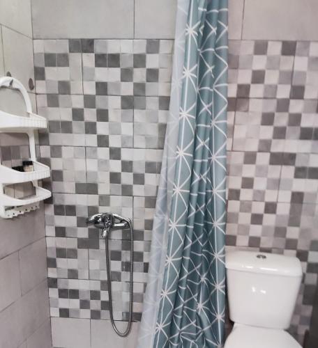 a bathroom with a shower with a toilet at Beautiful home for holidays in Mytilene