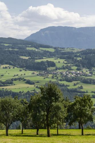 a group of trees in a field with mountains in the background at Schloss Gravetsch in Villandro
