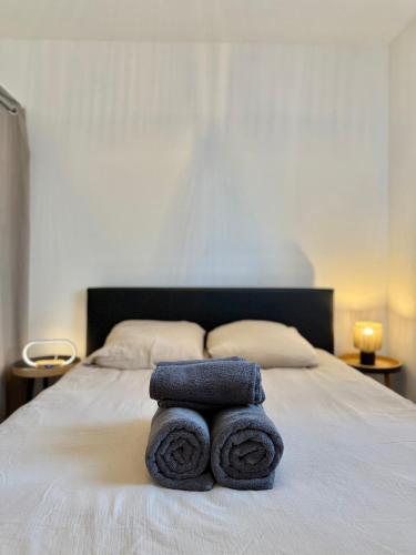 - 2 serviettes assises au-dessus d'un lit dans l'établissement T2 Moderne - Quartier Cartoucherie - Proche Zénith & Purpan - Parking, à Toulouse