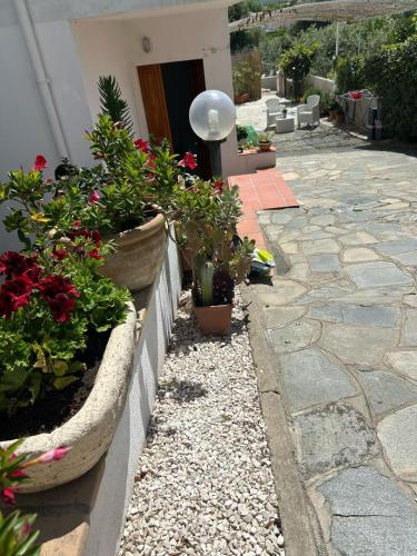 a garden with potted plants on a wall at Istella in Posada