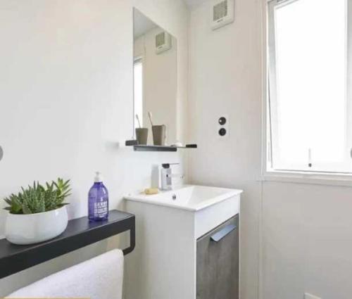 une salle de bain blanche avec un lavabo et un miroir dans l'établissement Camping 3 étoiles - Piscine - eehfhg, à Vic-la-Gardiole