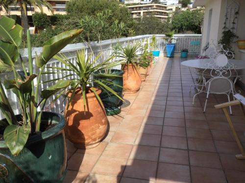 Photo de la galerie de l'établissement Le Chantemerle, à Nice