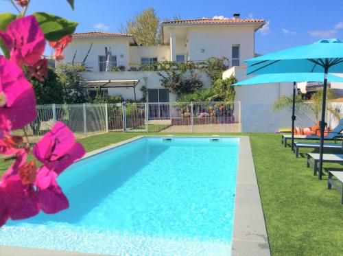 une piscine devant une maison dans l'établissement Les bougainvilliers, à Penta-di-Casinca