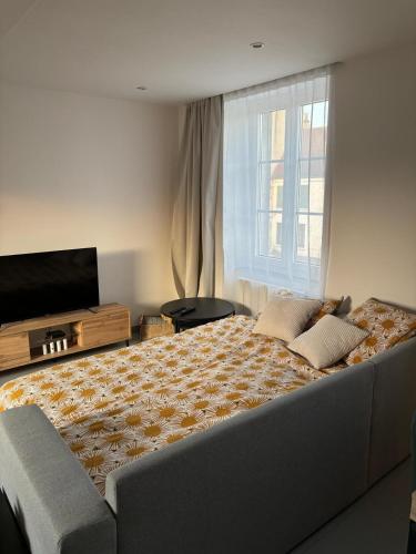 Katil atau katil-katil dalam bilik di Appartement neuf CDG, Asterix, Chantilly, Mer de Sable