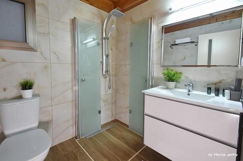 a bathroom with a toilet and a sink and a shower at בקתה בשמורה in Shomera