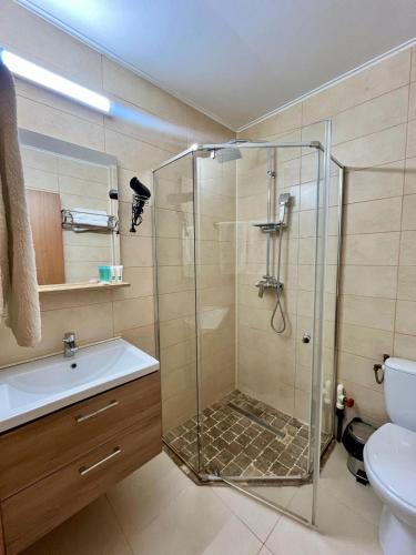 a bathroom with a shower and a sink and a toilet at Casa Coral Sulina in Sulina
