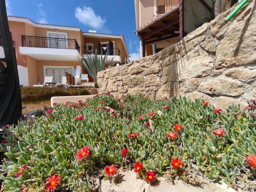 a retaining wall with flowers in front of a house at Eden gardens in Paphos