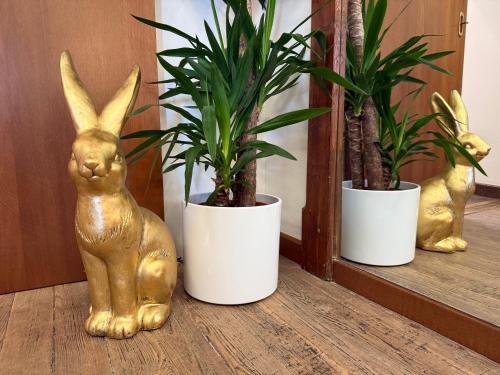 three potted plants in white pots on a shelf at IRIDE HOME - Wellness & Relax in Bergamo