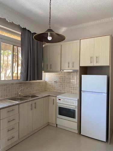 a kitchen with a white refrigerator and a white dishwasher at Chrisa's Home in Salamina