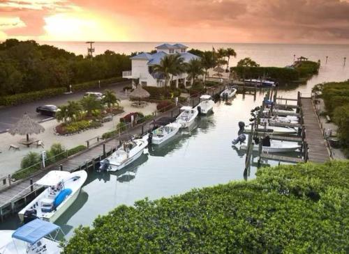 um grupo de barcos ancorados numa marina na água em Key Largo 2BR 2BA Oceanfront with Pool em Tavernier