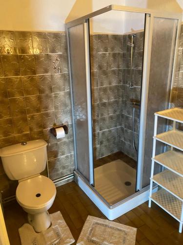 une salle de bain avec toilettes et douche dans l'établissement La marmottiere, à Lacapelle-Barrès