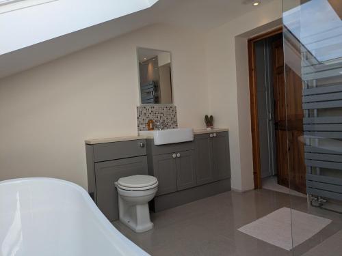 a bathroom with a toilet and a sink and a staircase at Beautiful Victorian Farmhouse in Ottery Saint Mary