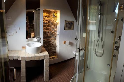 une salle de bain avec un lavabo et une douche dans l'établissement Gite de charme entre mer et campagne, 4 étoiles, à Plestin-les-Grèves