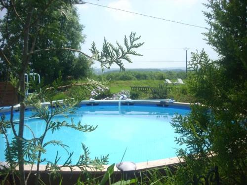une grande piscine bleue dans une cour arborée dans l'établissement Gite de charme entre mer et campagne, 4 étoiles, à Plestin-les-Grèves