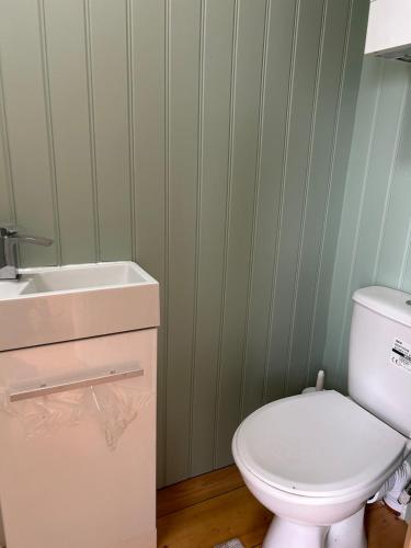 a bathroom with a white toilet and a sink at Shepherds hut in 7 acre field in Ludworth