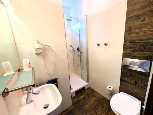 a bathroom with a shower and a sink and a toilet at Appartements Biedermeier in Bad Krozingen
