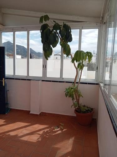 Casa en Nerja Pet Friendly