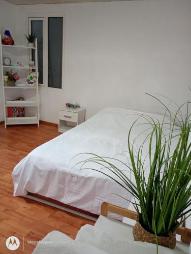 a bedroom with a white bed and a potted plant at Central city house in Tulcea