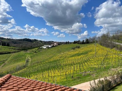 a view of a vineyard from the roof of a house at Podere Baratta agriturismo e cantina in Collinello