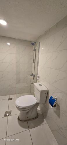 a bathroom with a toilet and a shower at VIP Hotel Amman in Amman