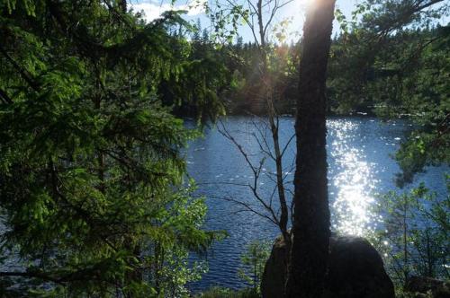 a view of a lake with the sun shining through trees at Rent your own island! in Lersjötorp