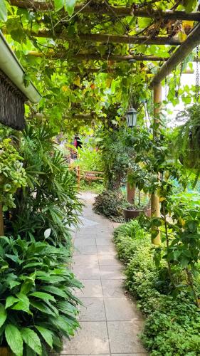 a garden pathway with a pergola and plants at Xamã Senses - Hotel Pousada in Pipa