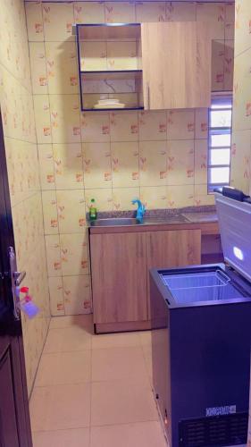 イバダンにあるRuby Funky Apartmentのシンクとコンロのある小さなキッチン