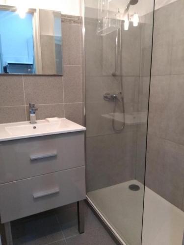 une salle de bain avec une douche et un lavabo et une douche dans l'établissement Studio avec canapé-lit, à Banyuls-sur-Mer