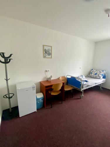a room with a bed and a desk and a table at Ubytovna Kaplice in Kaplice