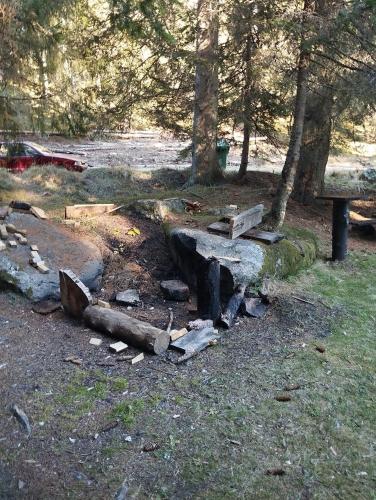 a park with a bench and logs on the ground at Lela Kop in Kopaonik