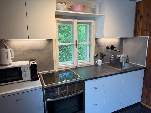 a kitchen with a sink and a microwave at Auszeit im Holzhaus in Steinach am Brenner