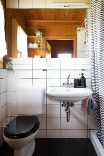 un baño con inodoro y lavabo en Unique Tiny house between Mnt Rigi and Lake Lucerne, en Weggis