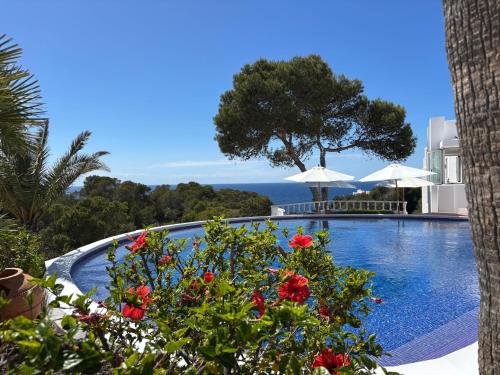 a view of a swimming pool at a resort at Hotel Village in Cala Vadella