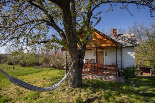 a hammock tied to a tree in front of a house at Balatoni Présházikó in Szőlősgyörök