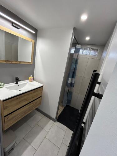 a bathroom with a sink and a shower at le pied marin in Lanchères