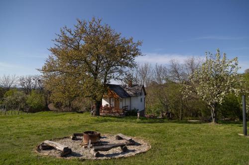 a fire pit in a yard in front of a house at Balatoni Présházikó in Szőlősgyörök