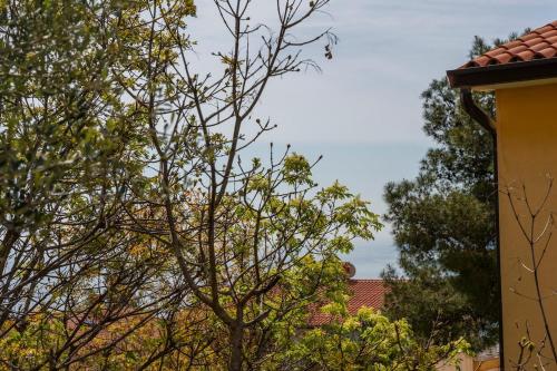 Fotografie z fotogalerie ubytování Rabac-quiet and cute apartment with grill,6001 v destinaci Rabac