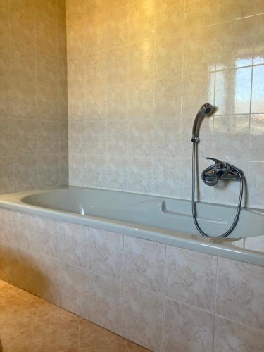 a bath tub with a shower in a bathroom at Casa Davide in Castelnuovo del Garda