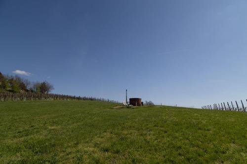 a field of grass with a barrel on top of it at Balatoni Présházikó in Szőlősgyörök