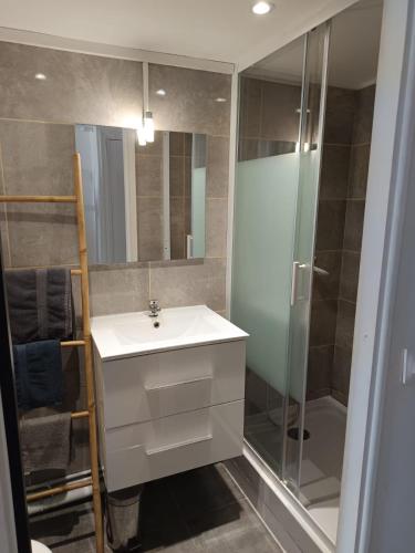 une salle de bain avec un lavabo et une douche dans l'établissement EN VENDEE à saint hilaire de riez DUPLEX 4/6pers, à Saint-Hilaire-de-Riez