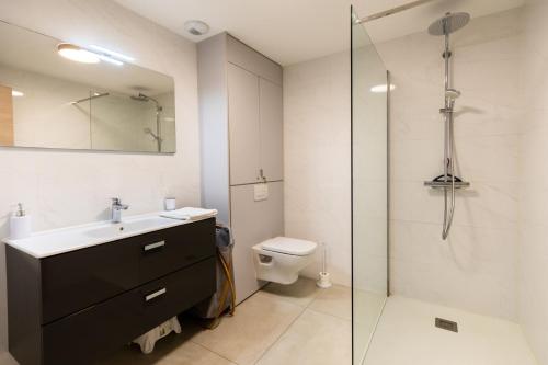 a bathroom with a shower and a sink and a toilet at La Clé Terrasse, Proche port,centre, parking,clim in Porto-Vecchio