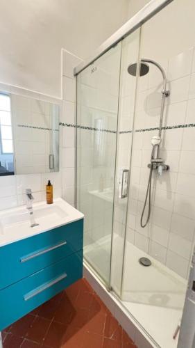 une salle de bain avec une douche en verre et un lavabo dans l'établissement L'harmonie de Saint Lazare 2, à Avignon