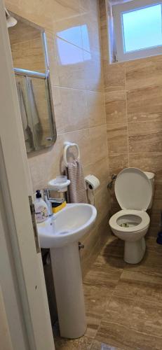 a bathroom with a toilet and a sink at Apartaman Ana 5 in Kravlja