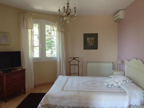 um quarto com uma cama grande e uma televisão em Logis du Comte em Suze-la-Rousse