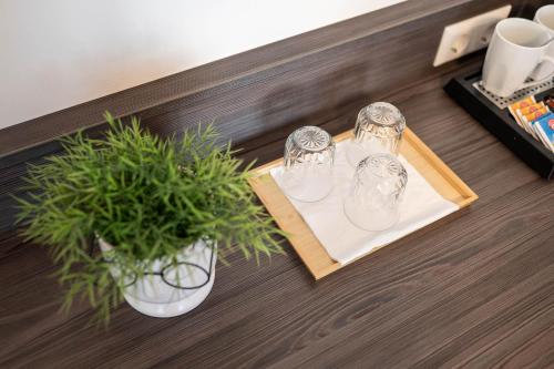 a table with four glasses on a tray with a plant at Hotel Ganslhof - Adults only in Salzburg